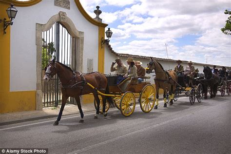 THE TOP 10 Portugal Horse Carriage Rides (w/Prices).